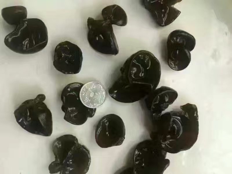 黑木耳东北特产圆小肉厚小秋耳500克口感好