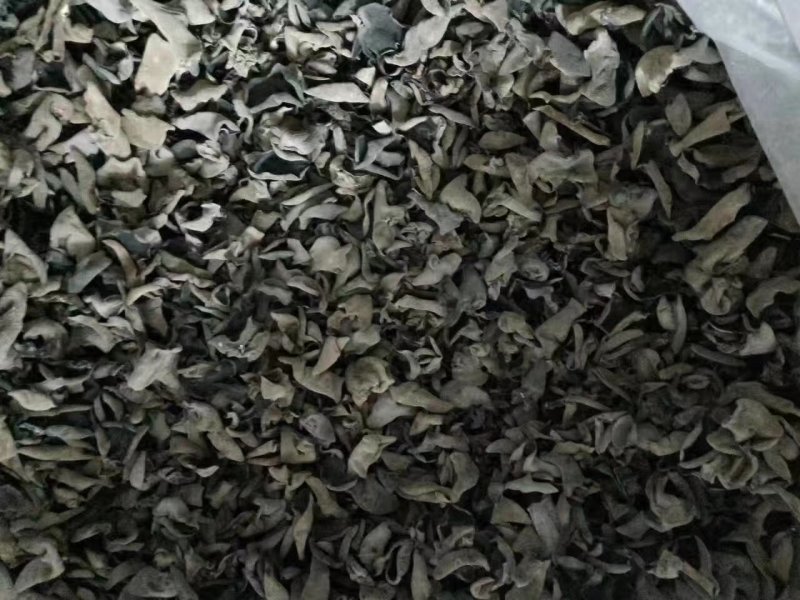 黑木耳东北特产圆小肉厚小秋耳500克口感好