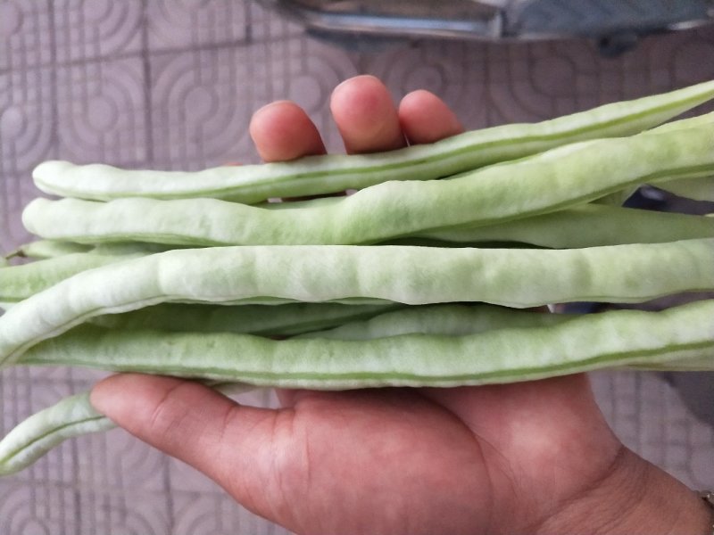 大量供应精品白肉豆，王中王，欢迎各位老板下单