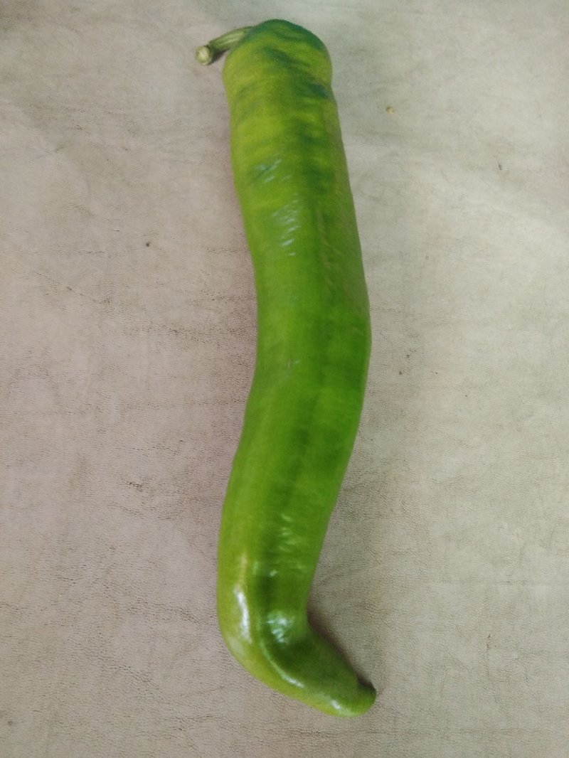麻辣椒，螺丝椒，大羊椒