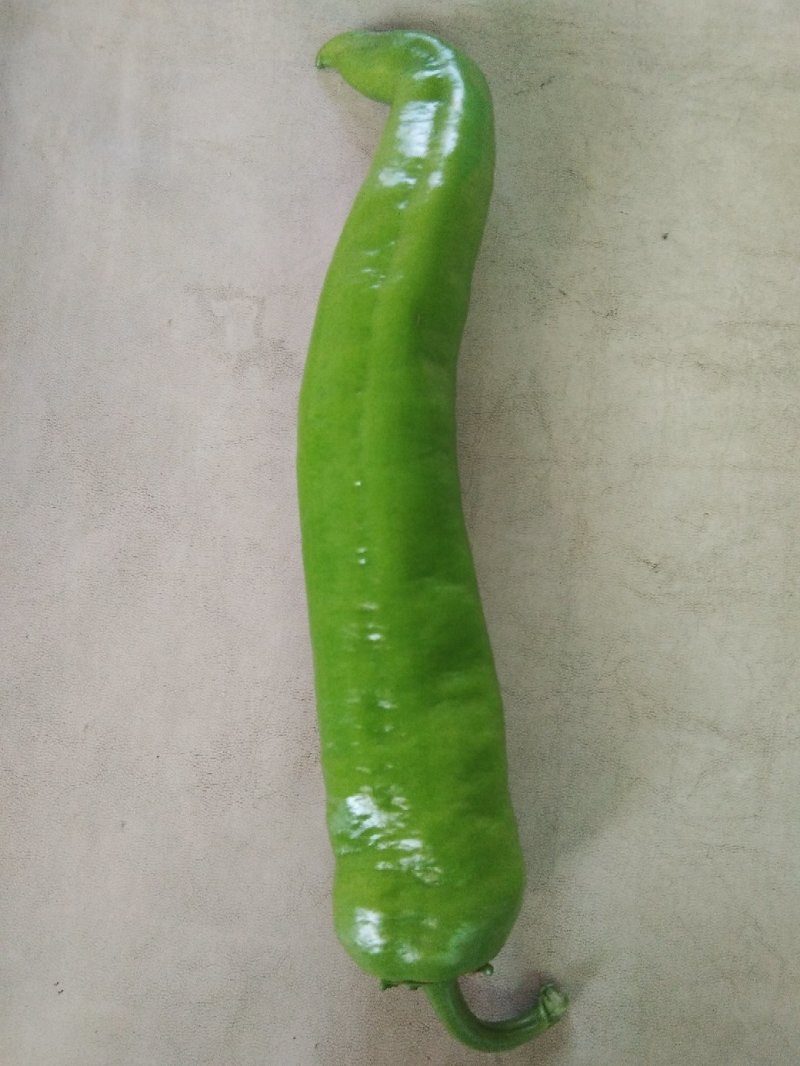 麻辣椒，螺丝椒，大羊椒