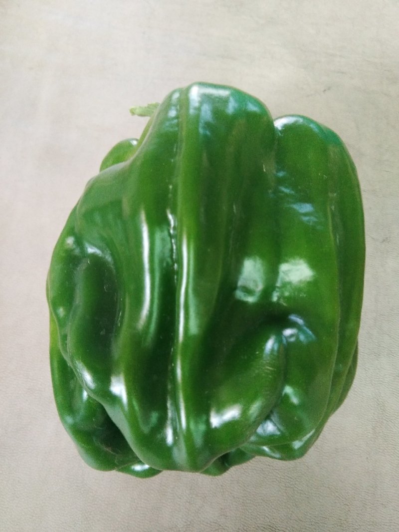麻辣椒，螺丝椒，大羊椒