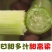 甜高粱种子农家老品种牧草糖绿皮高粱春夏季播北方甜杆小甘蔗