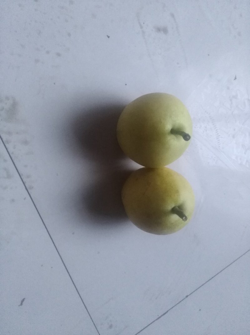 黄冠梨，膜袋皇冠梨，白皇冠梨，大量供货，质量好需要联系