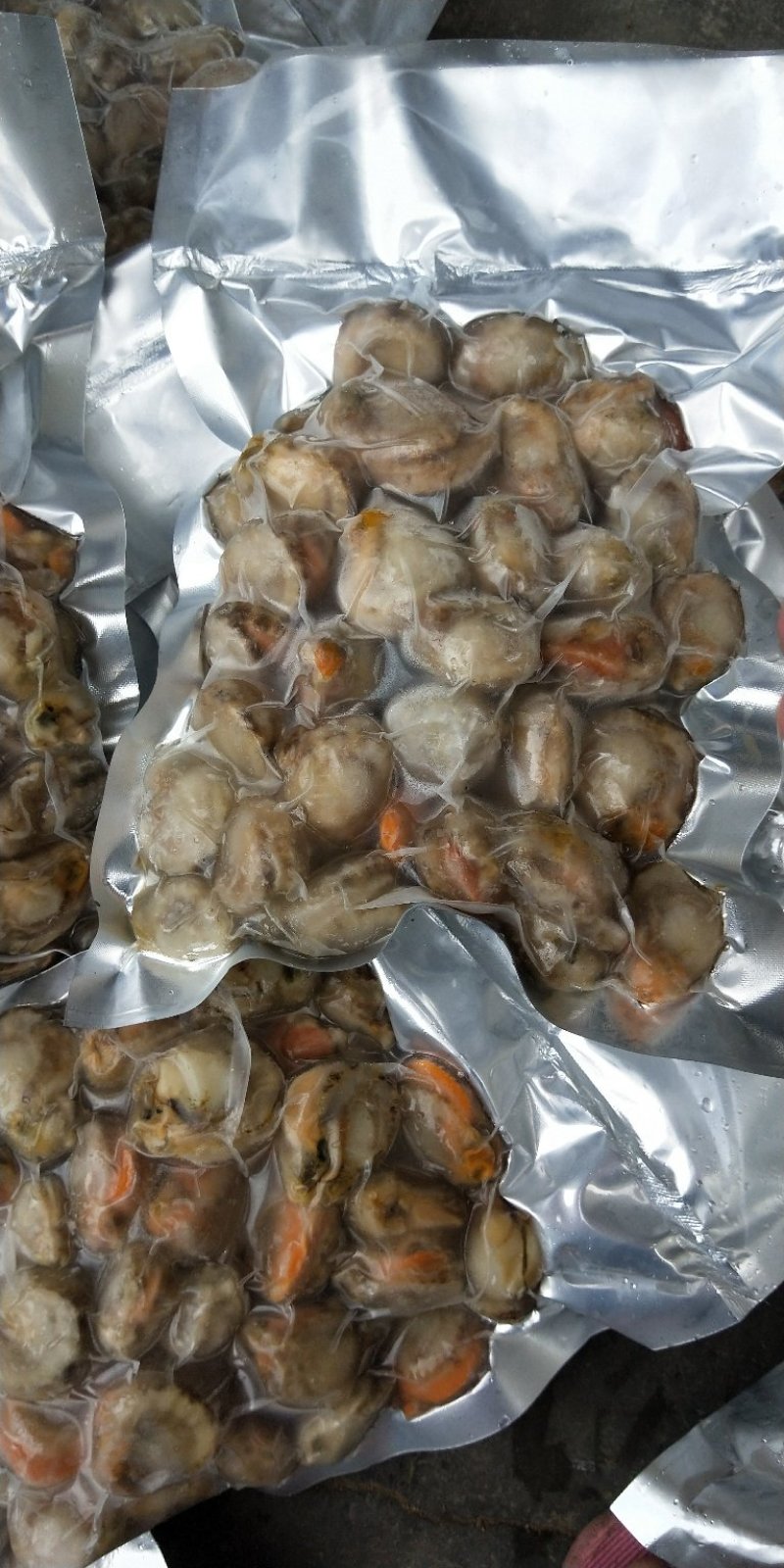新鲜海鲜鲜扇贝肉鲜活现剥冷冻新鲜瑶贝柱海鲜水产鲜活包邮