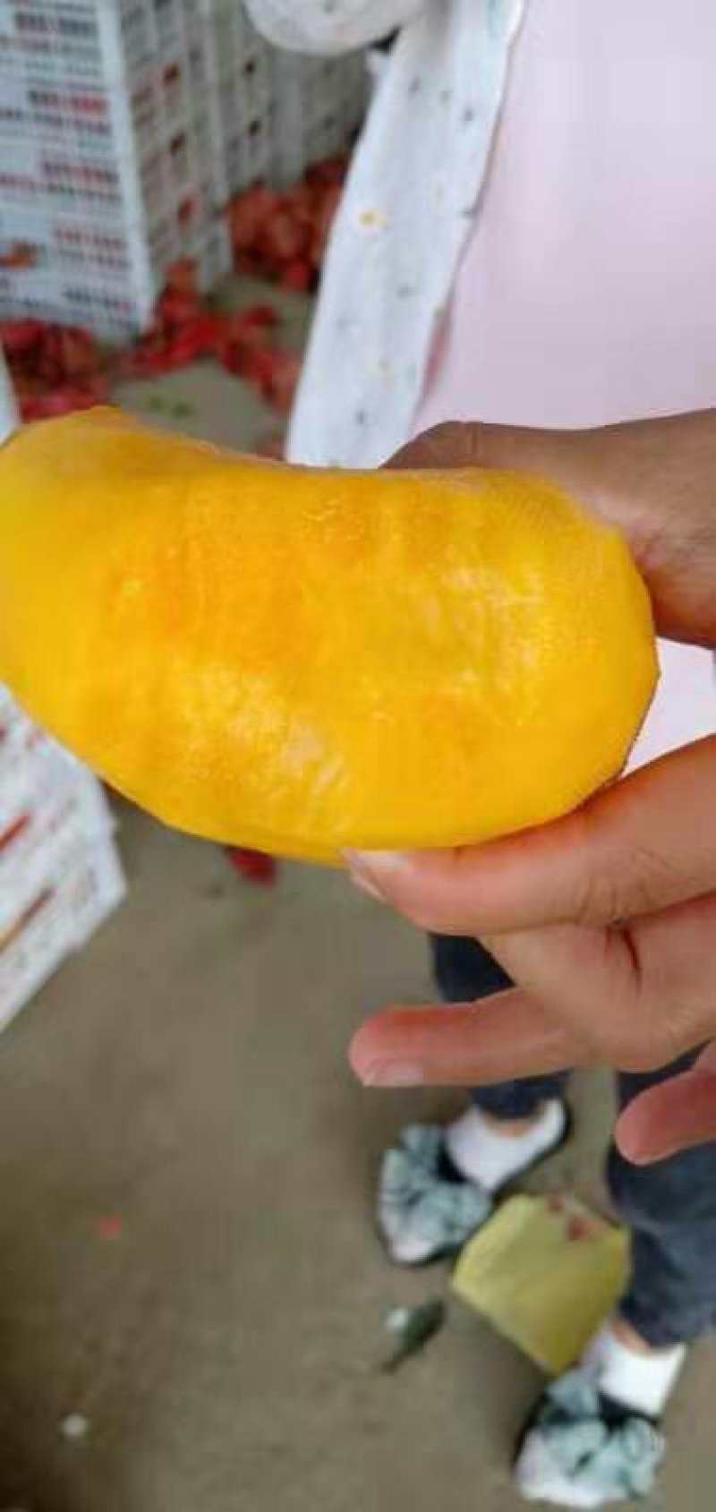 蟠桃黄桃大量供应，价格便宜了啊