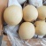 【推荐】青皮皇冠梨大量下树个头大价格便宜助燃梨市一路标升