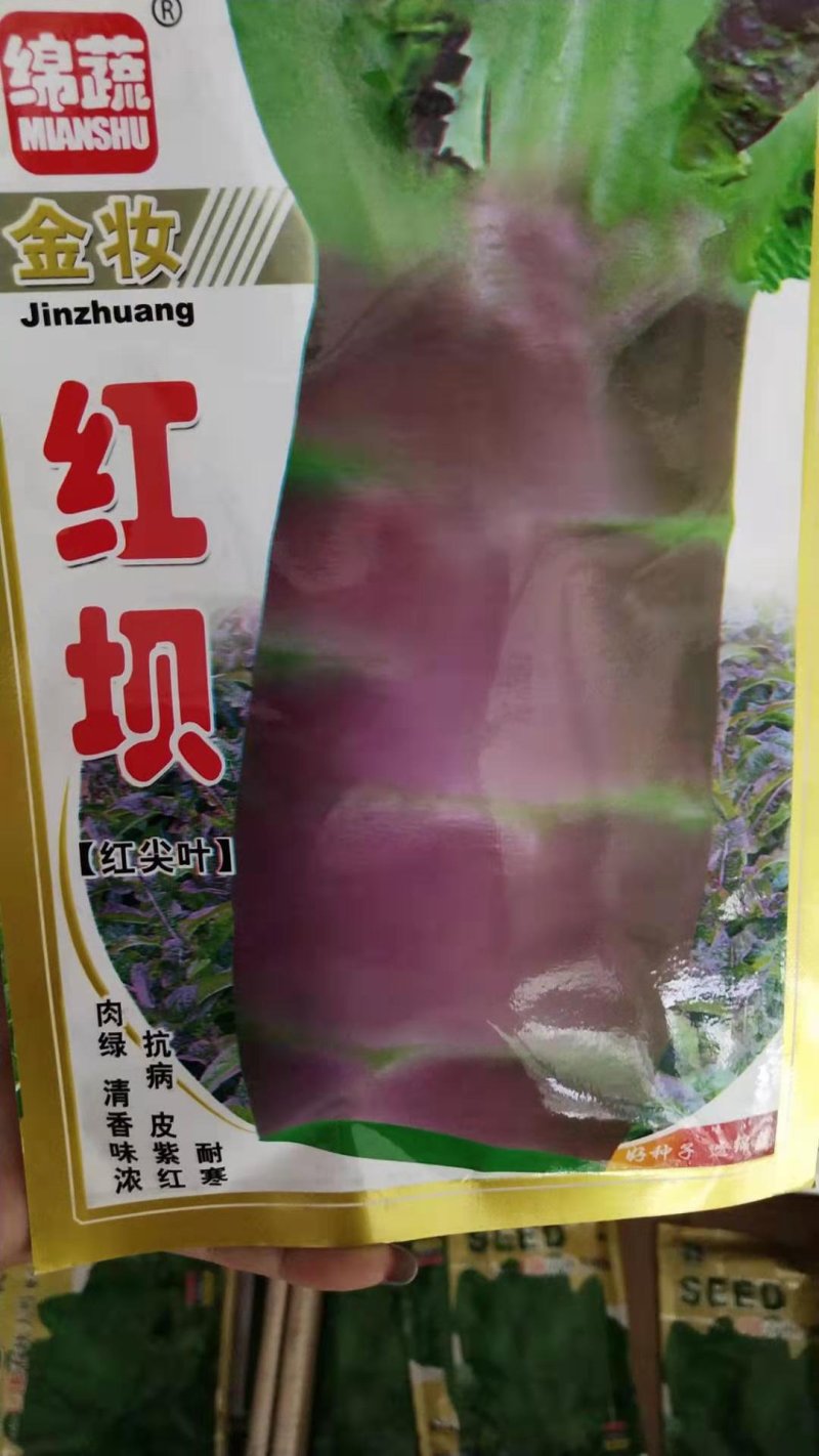 莴笋种子红皮绵蔬红坝紅皮窝笋，脆香青皮莴笋种子