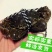 大闸蟹六月黄毛蟹