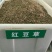 红豆草种子护坡草种耐寒耐旱盐碱草籽牧草观赏保土绿肥兼用型