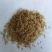 芨芨草种子芨芨草优质牧草种子水草绿化种子耐旱防风固沙
