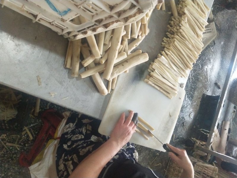 常年供应保鲜牛蒡，腌制牛蒡，牛蒡丝