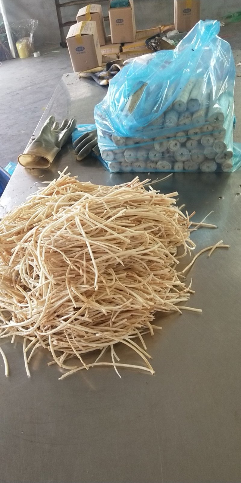 常年供应保鲜牛蒡，腌制牛蒡，牛蒡丝