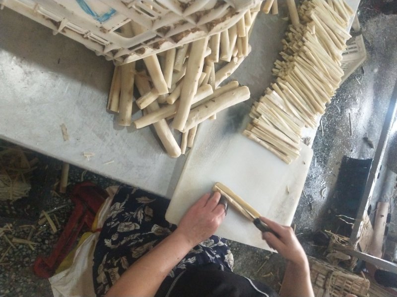 常年供应保鲜牛蒡，腌制牛蒡，牛蒡丝