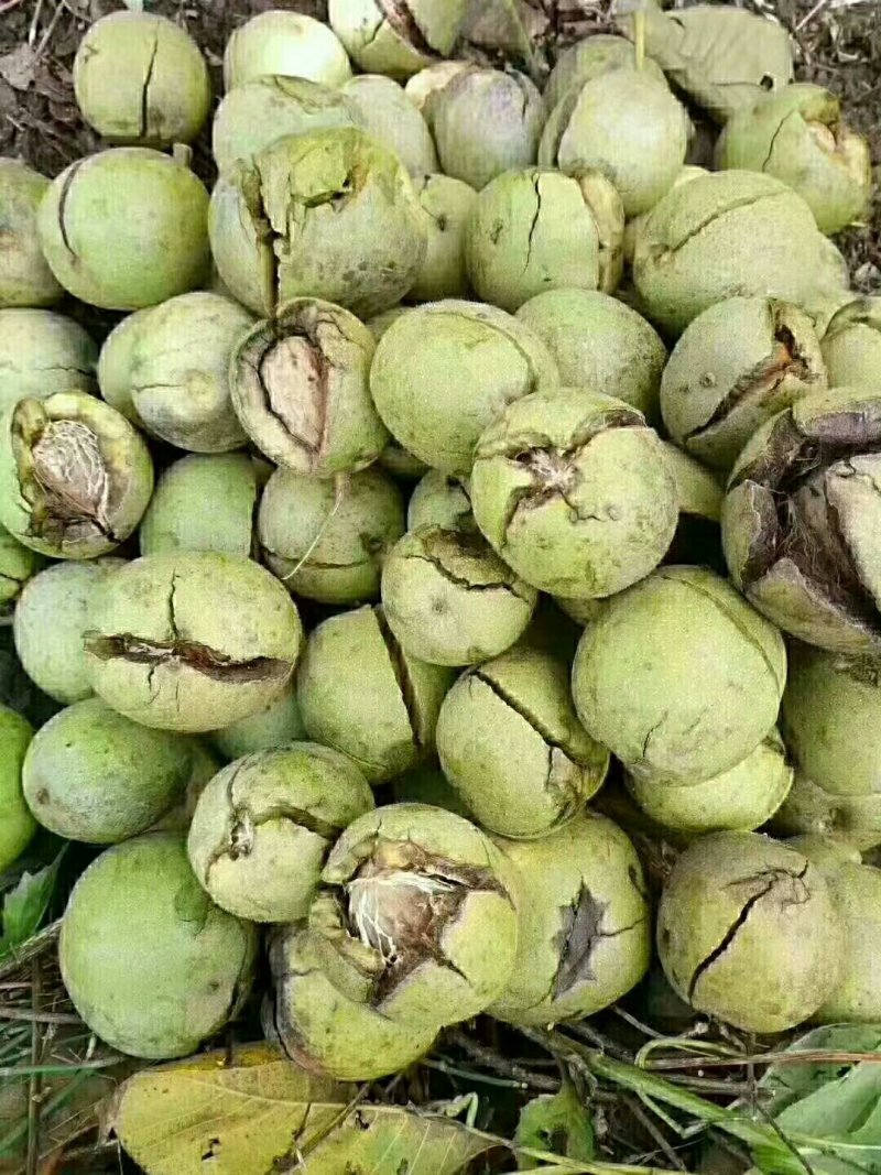 大优黑桃