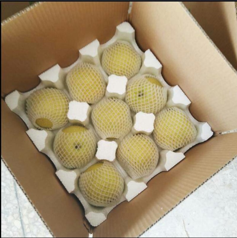 大量出售批发半斤以上皇冠梨