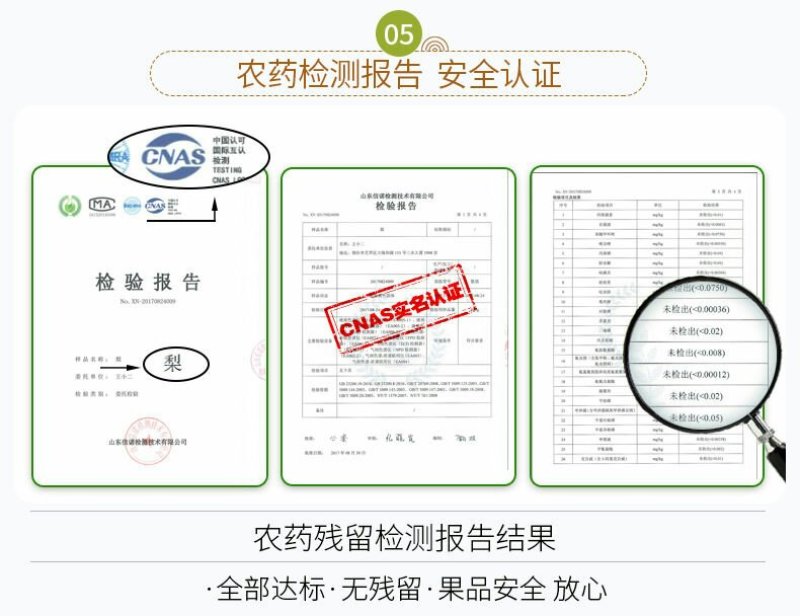 大量出售批发半斤以上皇冠梨