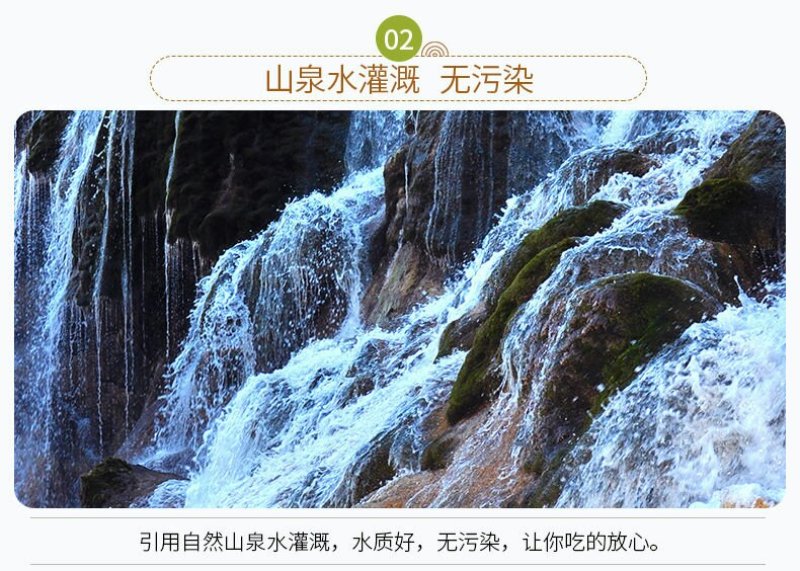 大量出售批发半斤以上皇冠梨