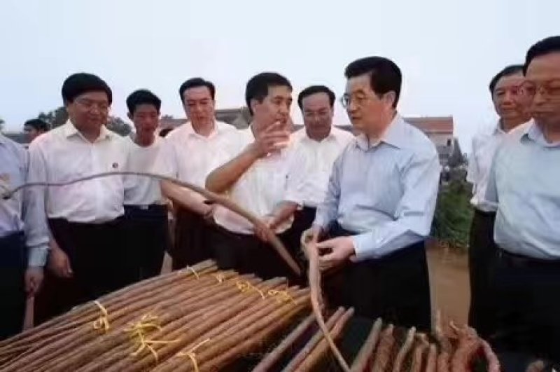 菏泽铁棍山药原产地自产自销货源足质量高供货全国市场