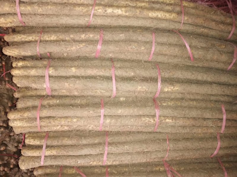 菏泽铁棍山药原产地自产自销货源足质量高供货全国市场