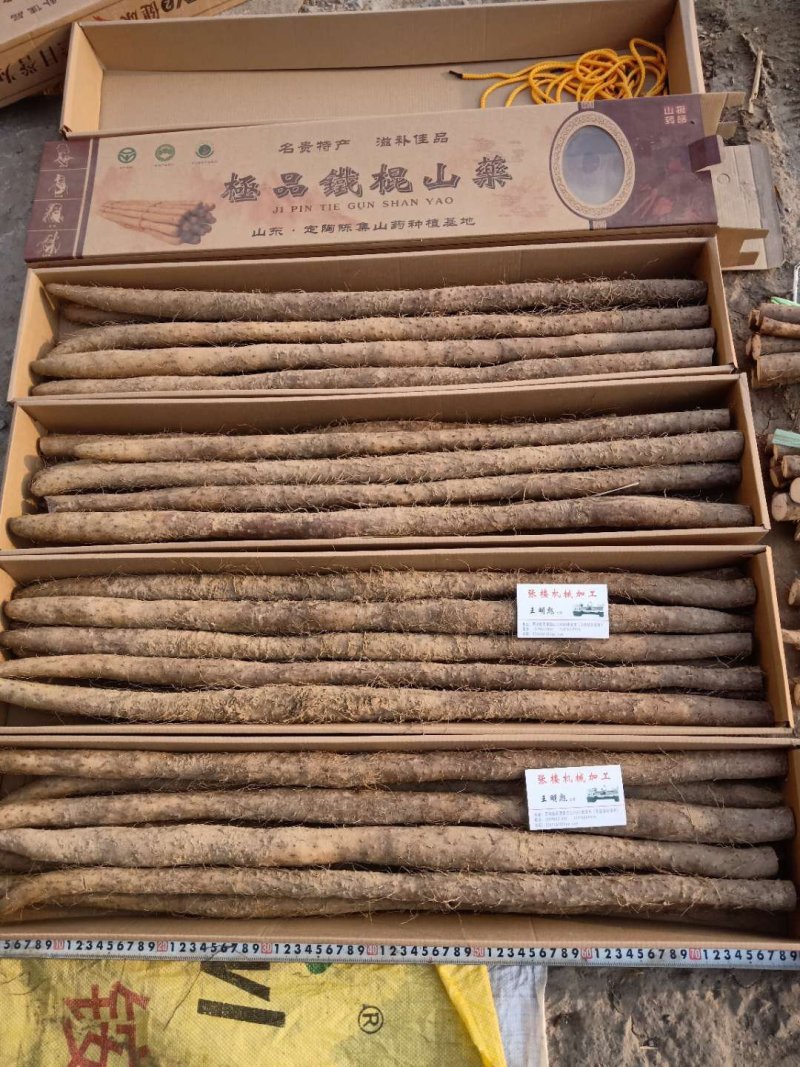 菏泽铁棍山药原产地自产自销货源足质量高供货全国市场