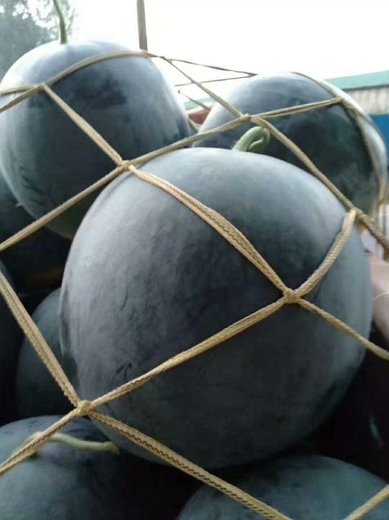 黑无籽大量上市，1元质量好价格低。