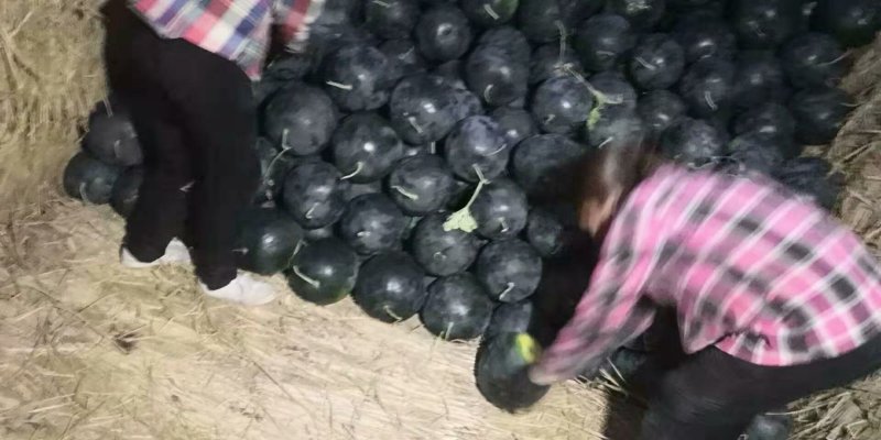 黑无籽大量上市，1元质量好价格低。