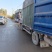巨峰葡萄，山东临朐冶源王舍巨峰葡萄，支持视频看货产地直供