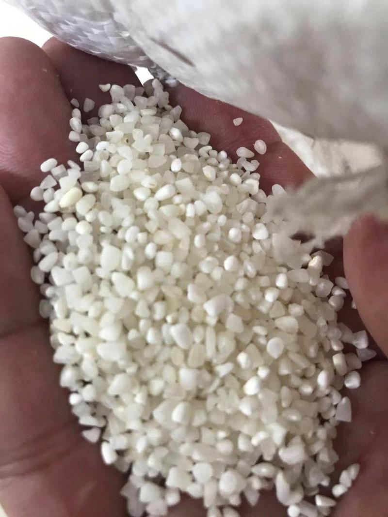 粉米粉米专用早米圆粒早中碎米杂交中碎
