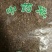 海风藤正品湖北不带叶高含量一公斤起包邮