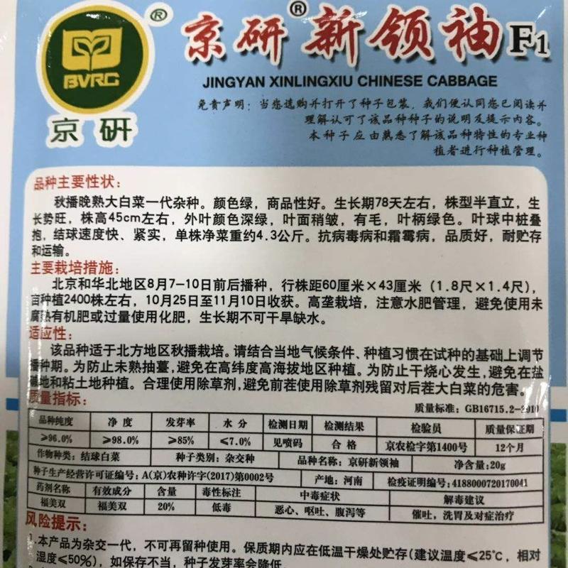 油绿系列大白菜种子批发