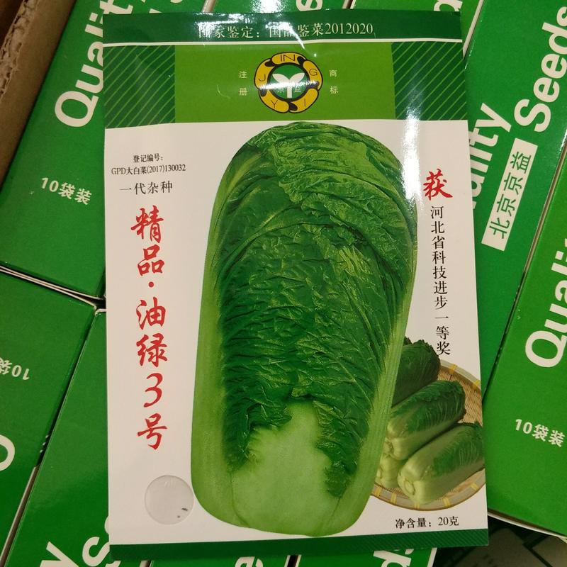 油绿系列大白菜种子批发