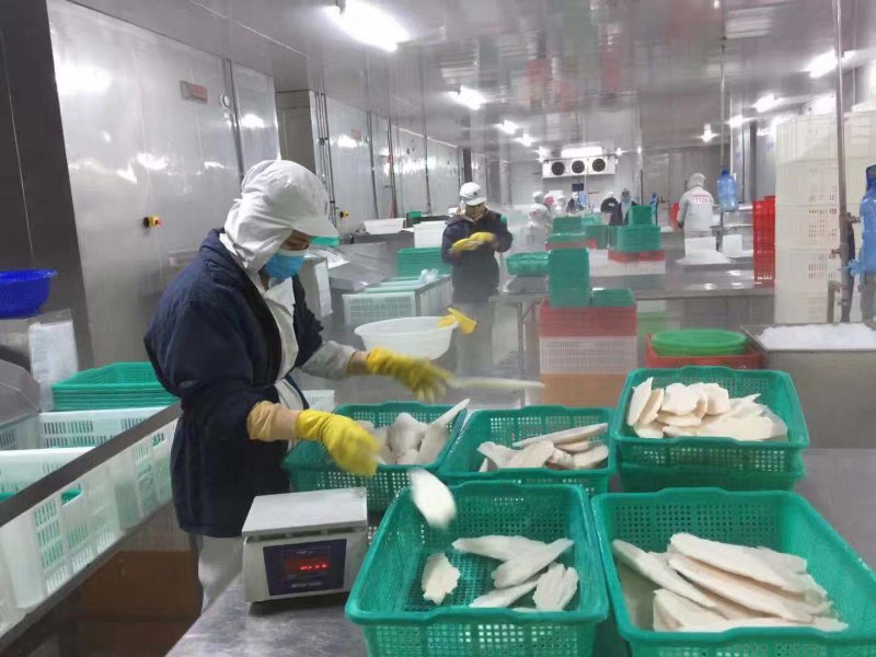 越南正关一手进口巴沙鱼柳开背巴沙鱼鱼