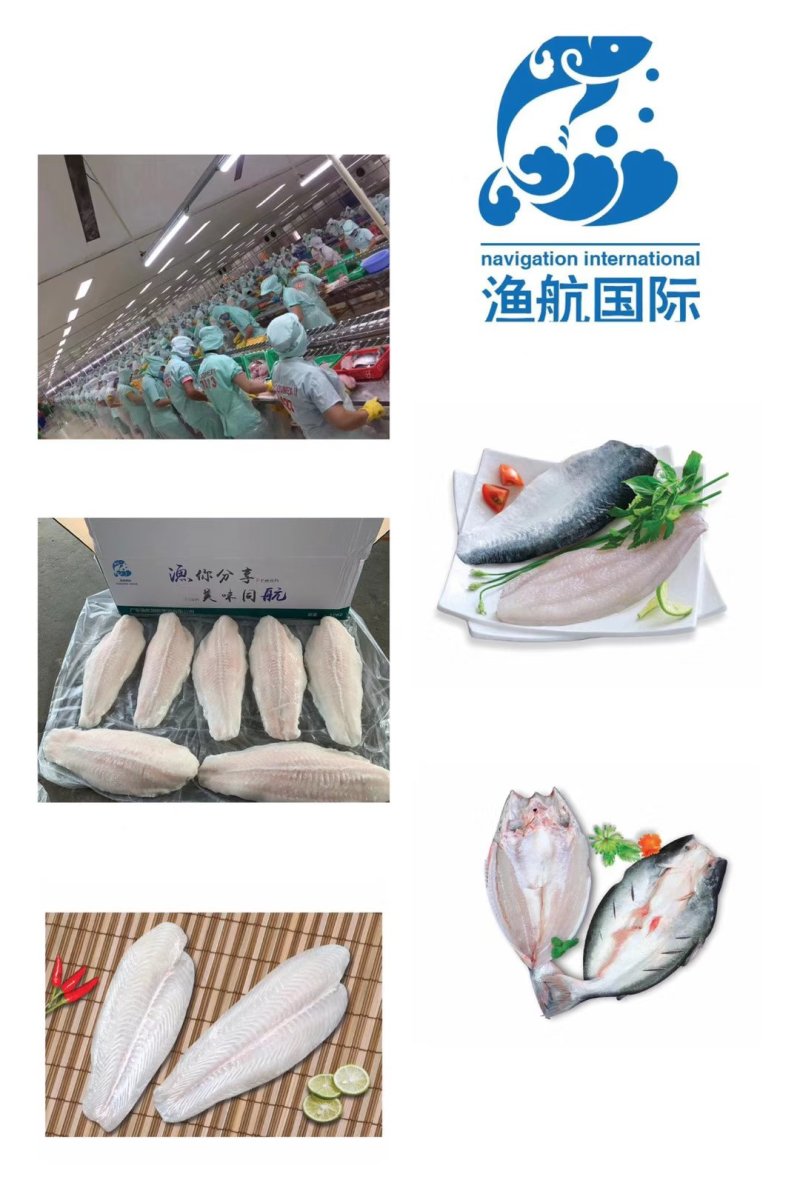 越南正关一手进口巴沙鱼柳开背巴沙鱼鱼