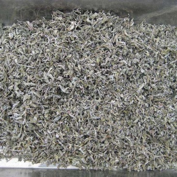 野生藤茶