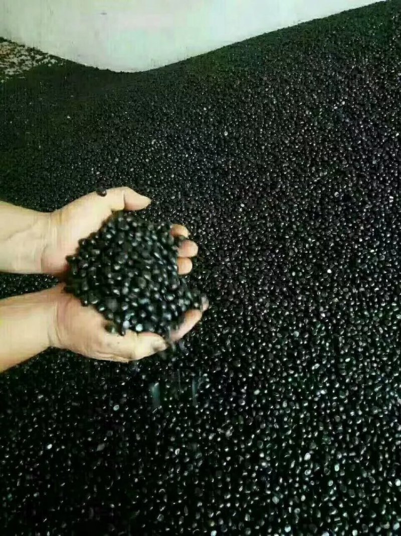 牡丹籽，精品牡丹种子，基地直发，育苗种子人工精选，无杂质