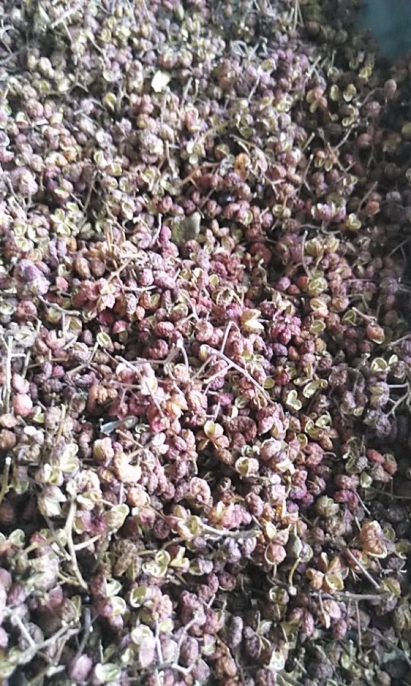 富平花椒一手货欢迎新老朋友订货