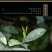 芽中芽纯黄牙金骏眉【全黄无黑芽带金豪】老茶师制作