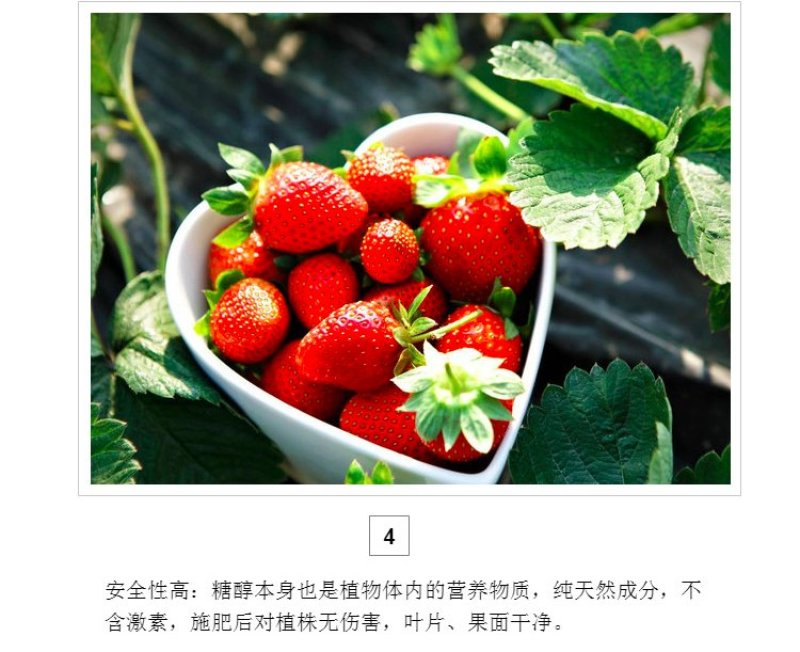 绿陇糖醇锌液体锌肥防落果搭配硼