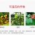 绿陇糖醇锌液体锌肥防落果搭配硼