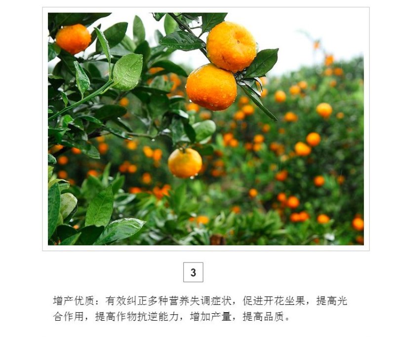 绿陇糖醇锌液体锌肥防落果搭配硼