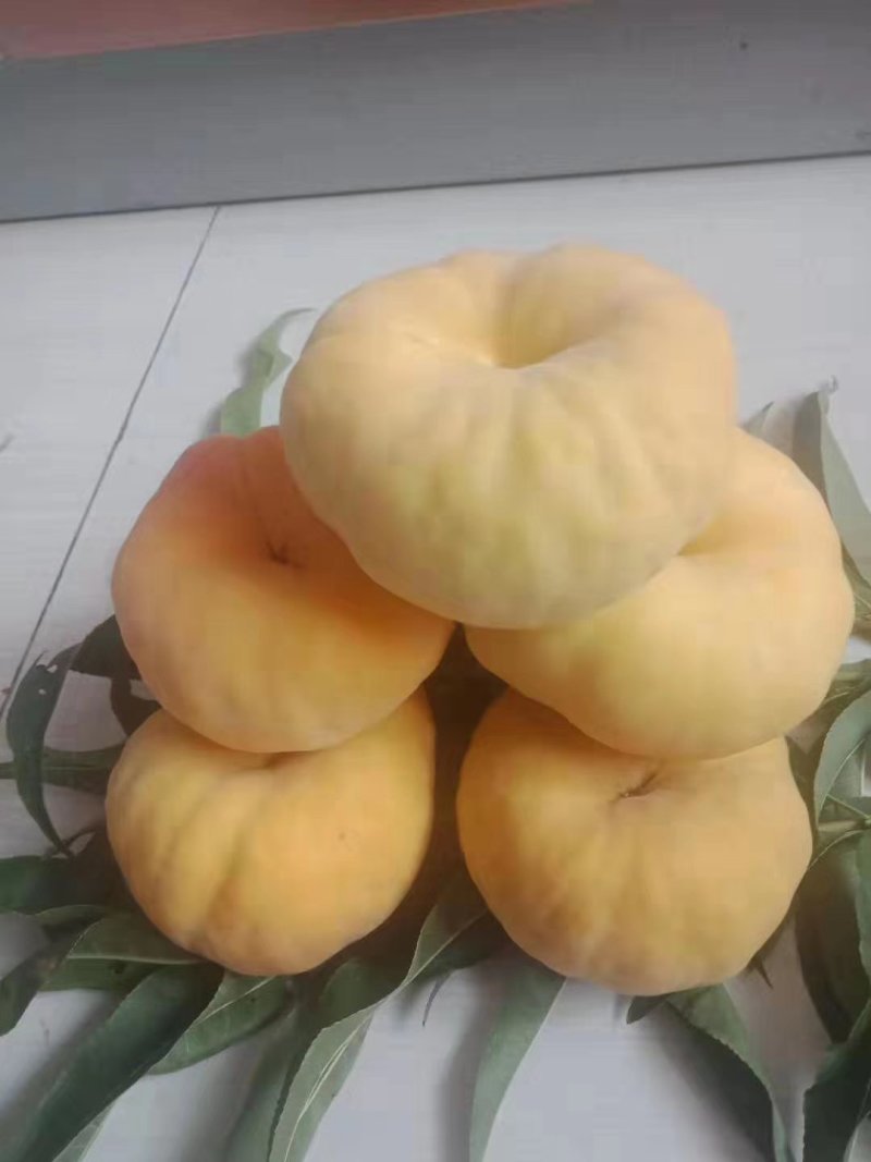 黄金蟠桃大量上市，纸袋黄金蟠桃价格合适质量好