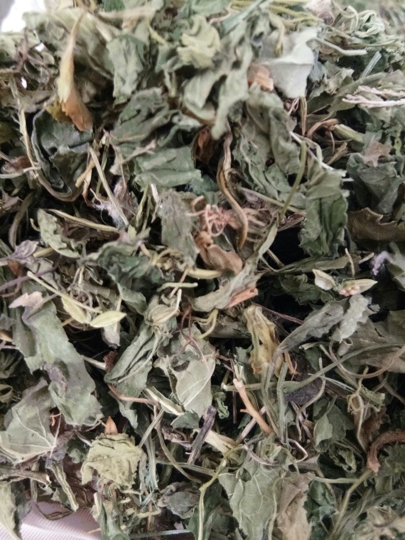 紫花地丁色泽好野生高含量一公斤起包邮