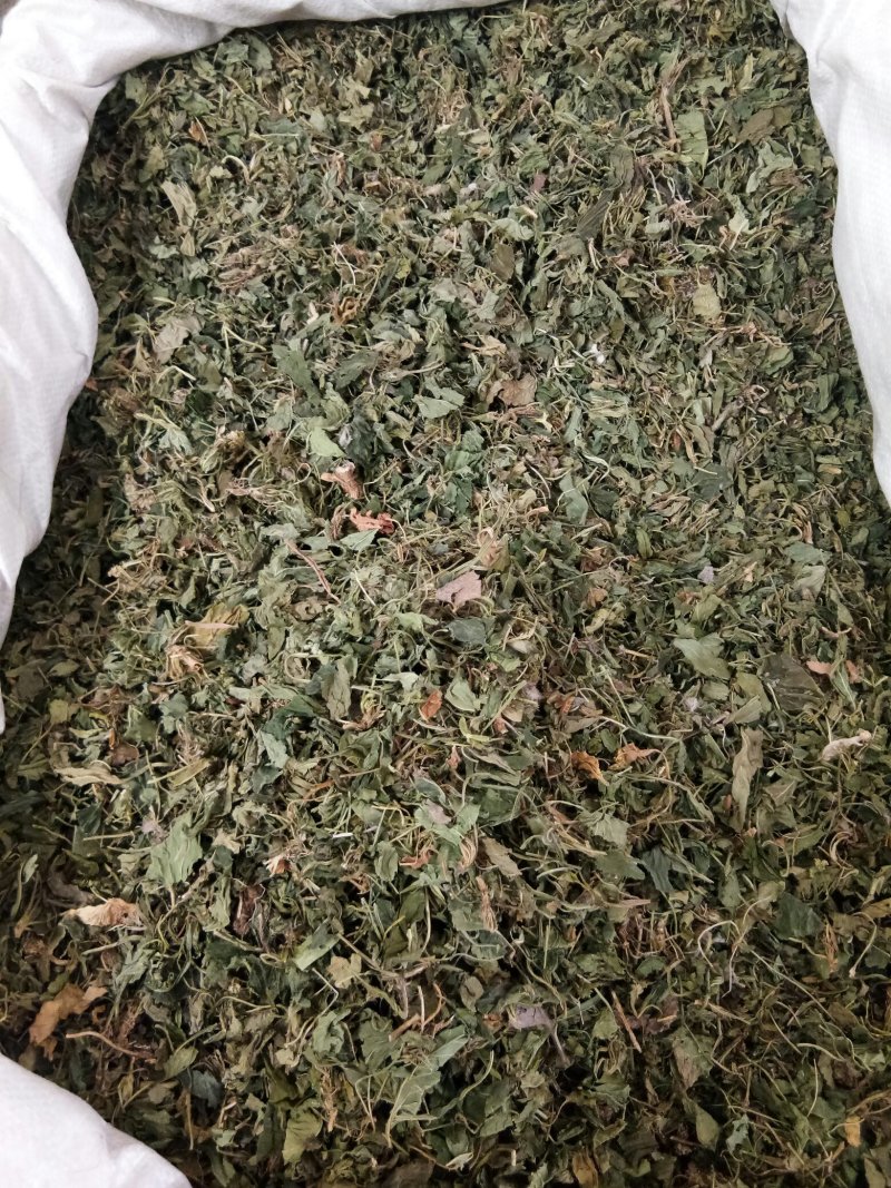 紫花地丁色泽好野生高含量一公斤起包邮