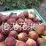 无花果有机种植熟果