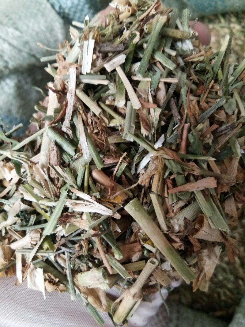 瞿麦干品干净无杂中药材一公斤起
