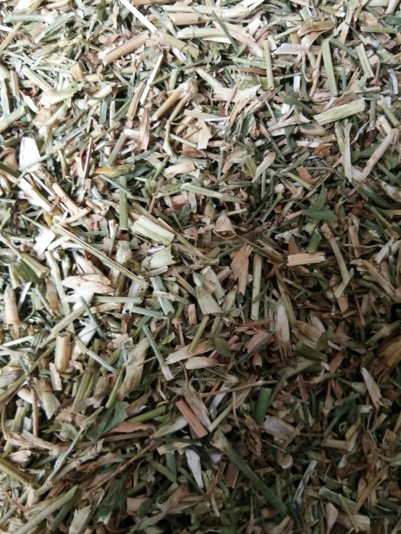 瞿麦干品干净无杂中药材一公斤起