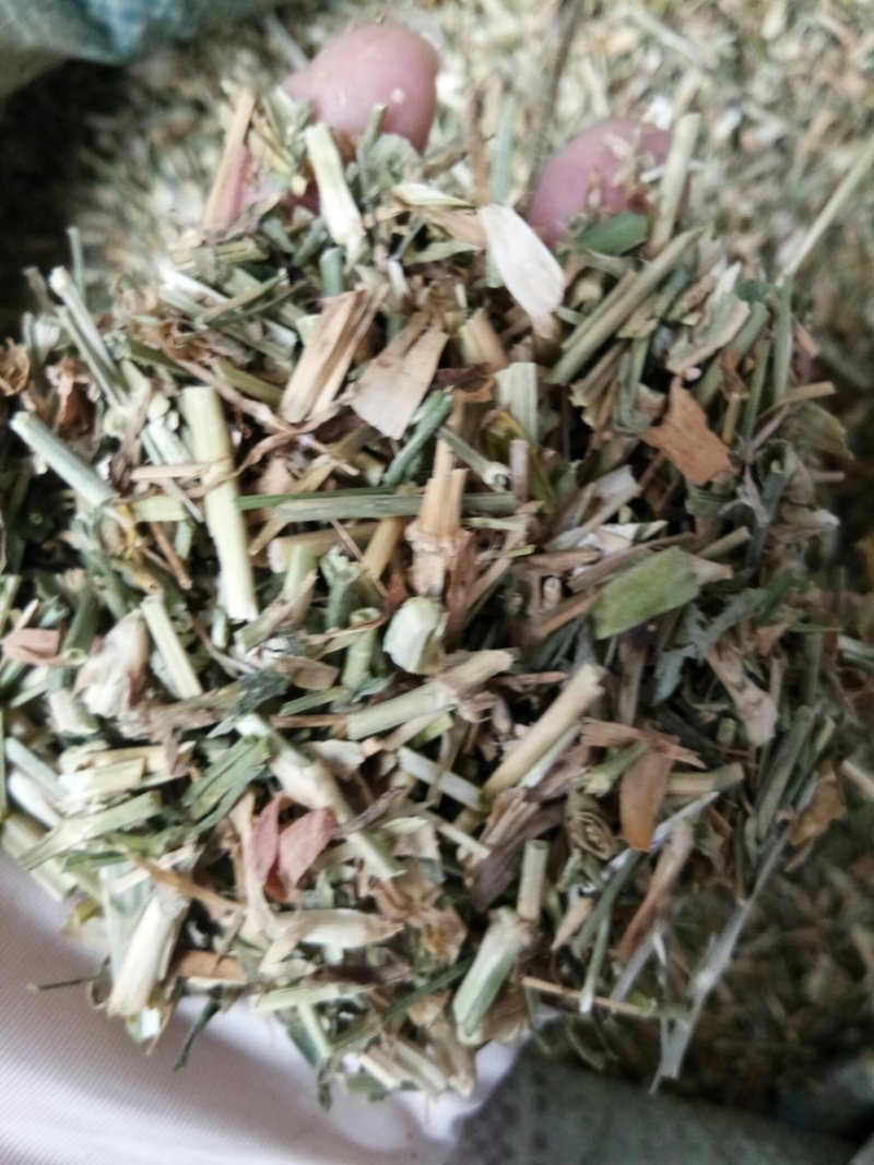 瞿麦干品干净无杂中药材一公斤起
