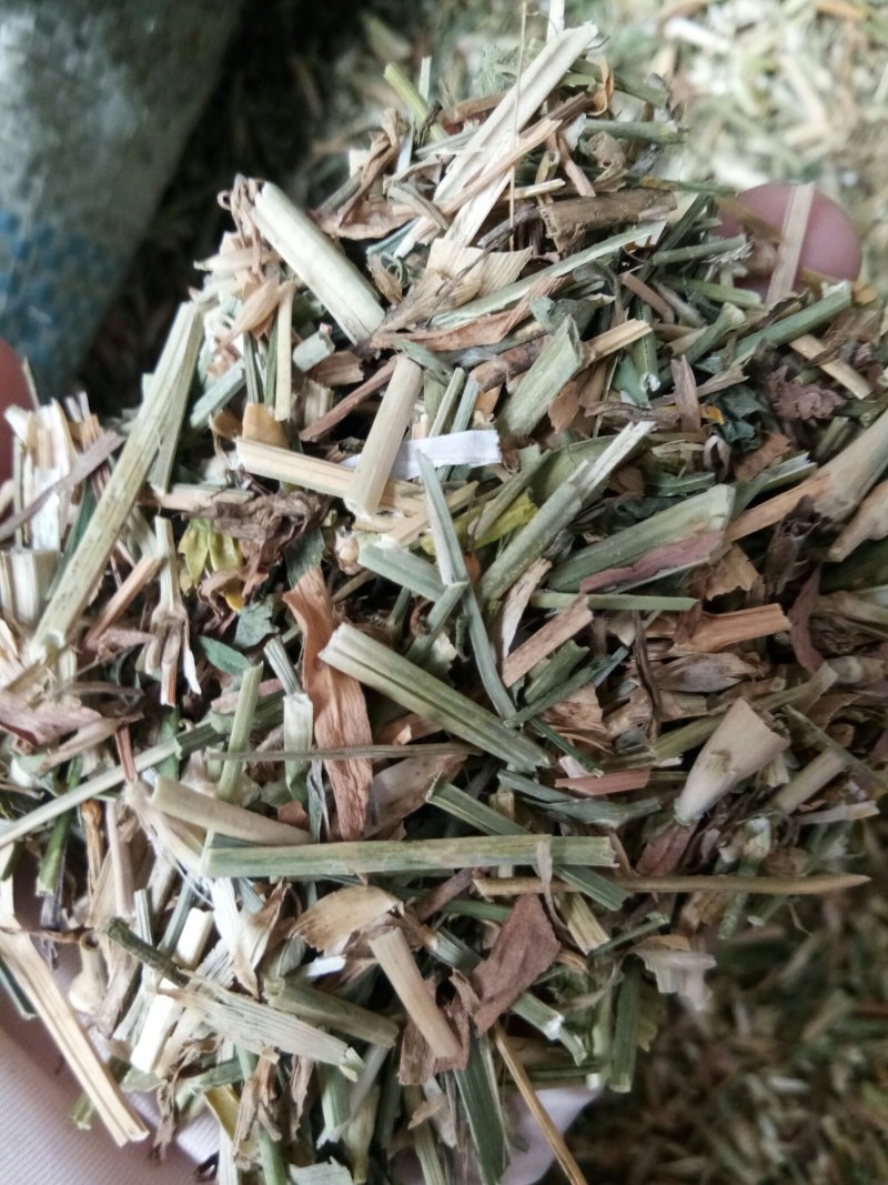 瞿麦干品干净无杂中药材一公斤起