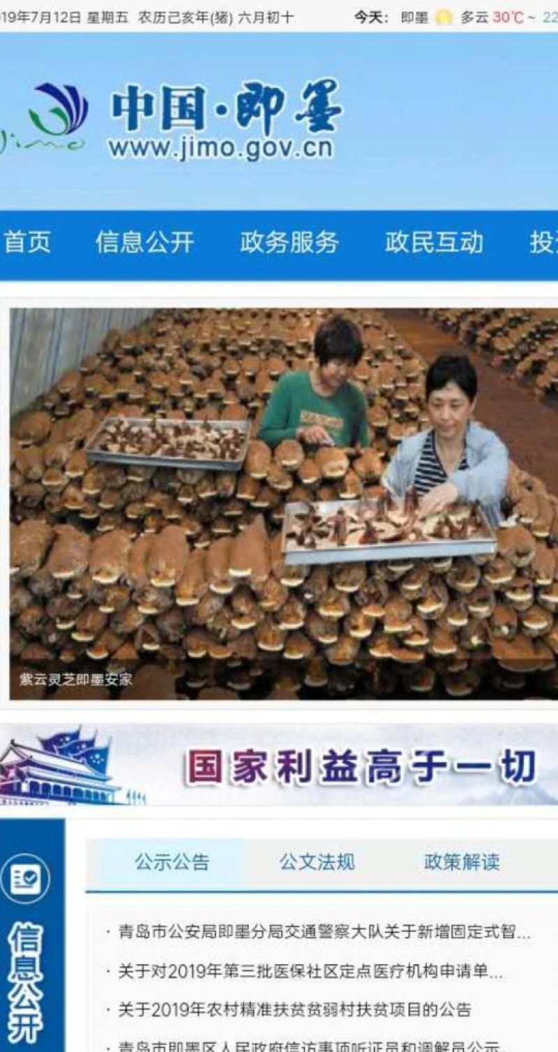 灵芝，灵芝孢子粉